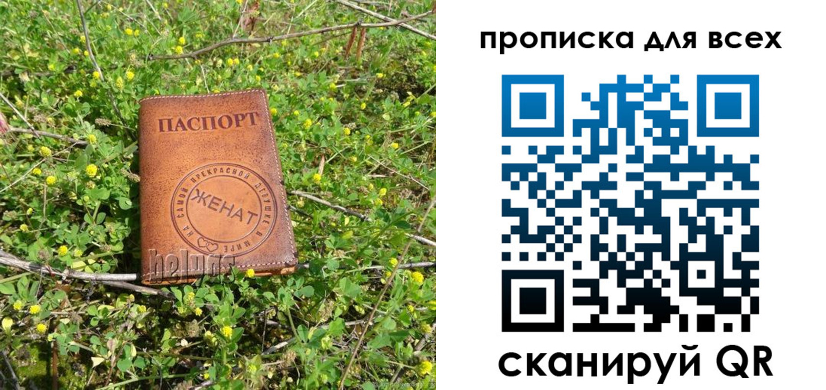 прописка поиск в Беслане